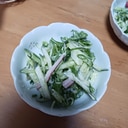 水菜　きゅうり　ねぎ　カニカマサラダ